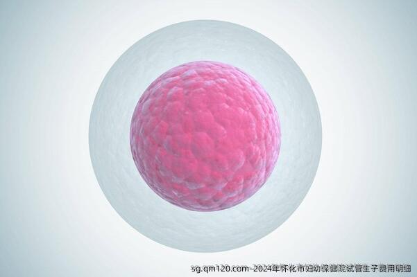 2024年怀化市妇幼保健院试管生子费用明细