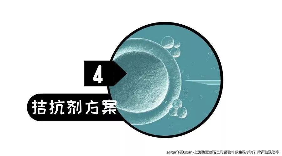 上海集爱医院三代试管可以生孩子吗？附详细成功率