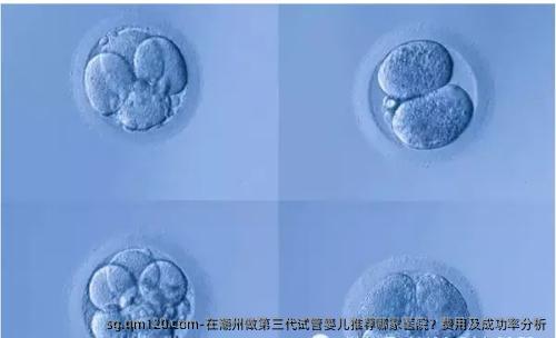 在潮州做第三代试管婴儿推荐哪家医院？费用及成功率分析