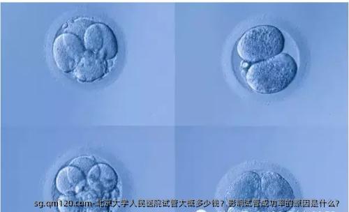 北京大学人民医院试管大概多少钱？影响试管成功率的原因是什么？