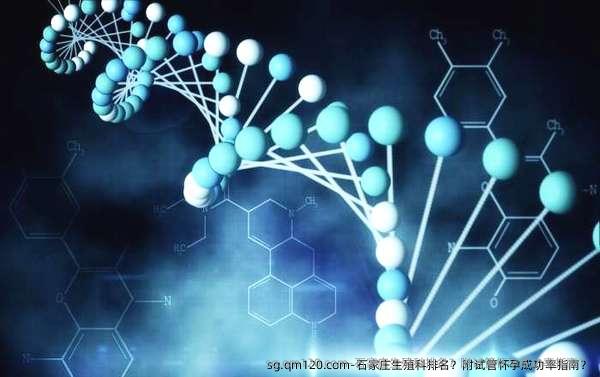 石家庄生殖科排名？附试管怀孕成功率指南？