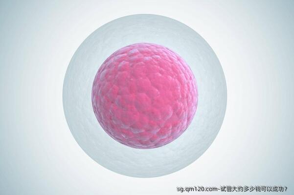 试管大约多少钱可以成功？