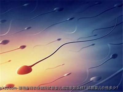 湖南省妇幼保健院试管婴儿成功率怎么样？试管婴儿价格多少？