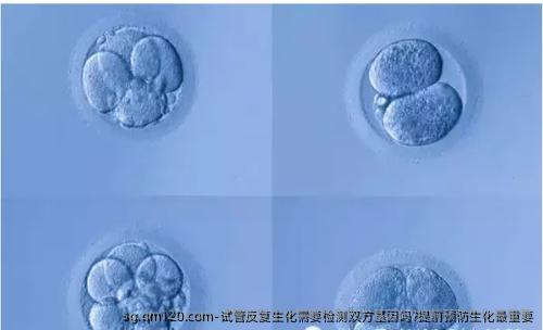 试管反复生化需要检测双方基因吗?提前预防生化最重要