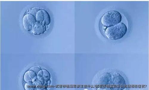 试管移植后需要注意什么?试管移植成功后会出现哪些症状?