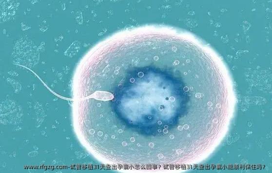 试管移植31天查出孕囊小怎么回事？试管移植31天查出孕囊小能顺利保住吗？