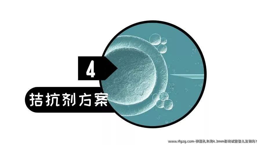 卵圆孔未闭4.3mm影响试管婴儿发育吗？