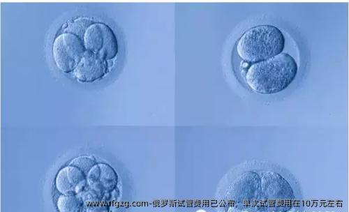 俄罗斯试管费用已公布，单次试管费用在10万元左右