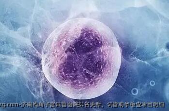 济南残角子宫试管医院排名更新，试管助孕检查项目明细