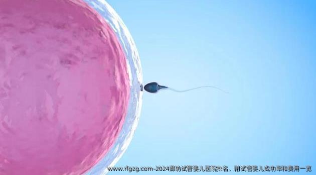 2024廊坊试管婴儿医院排名，附试管婴儿成功率和费用一览