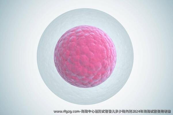 南阳中心医院试管婴儿多少钱内附2024年南阳试管费用明细