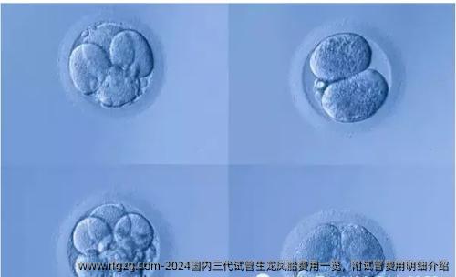 2024国内三代试管生双胎费用一览，附试管费用明细介绍