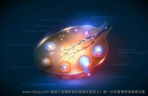 福建三明哪家医院能做试管婴儿？做一次试管费用明细看这里