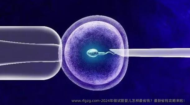 2024年做试管婴儿怎样最省钱？最新省钱攻略来啦！