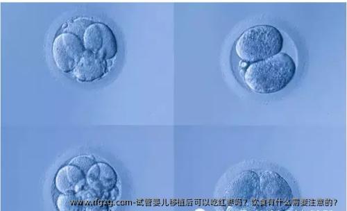 试管婴儿移植后可以吃红枣吗？饮食有什么需要注意的？