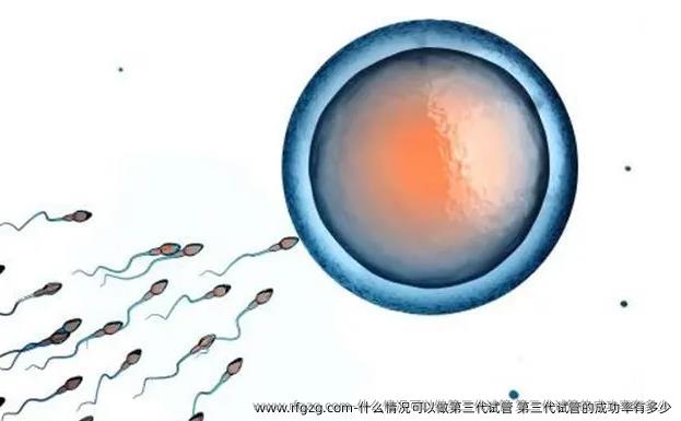 什么情况可以做第三代试管 第三代试管的成功率有多少