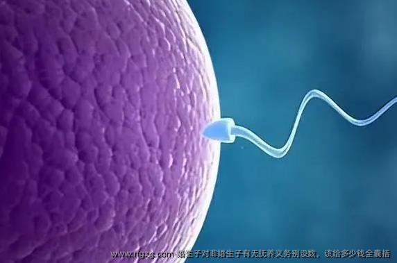 婚生子对非婚生子有无抚养义务别没数，该给多少钱全囊括