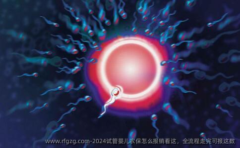 2024试管婴儿农保怎么报销看这，全流程走完可报这数