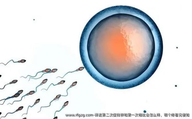 详述第二次促排卵和第一次相比会怎么样，哪个疼看完便知