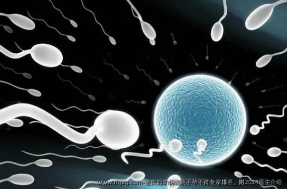 重庆妇幼保健院不孕不育专家排名，附2024医生介绍