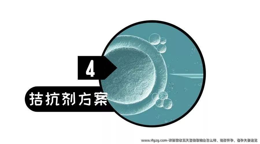 详解禁欲五天显微取精会怎么样、能否怀孕，备孕夫妻速览