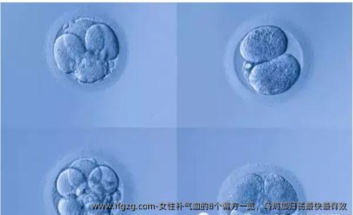 女性补气血的8个偏方一览，乌鸡加归芪最快最有效