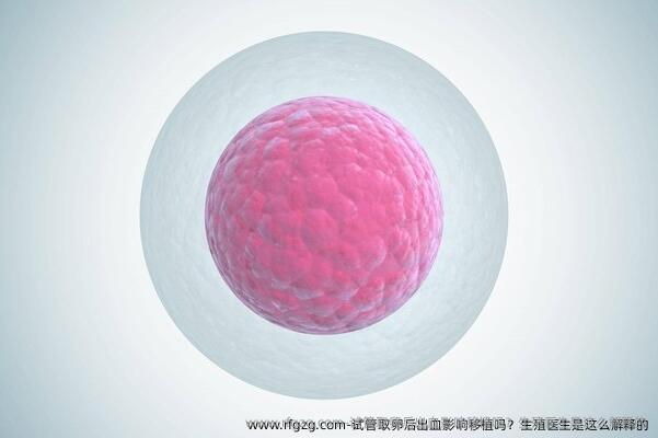 试管取卵后出血影响移植吗？生殖医生是这么解释的