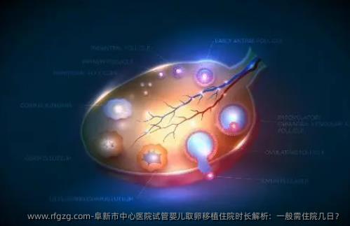 阜新市中心医院试管婴儿取卵移植住院时长解析：一般需住院几日？