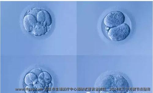 大连市生殖医疗中心揭秘试管黄金时刻：2024年三个关键节点指南