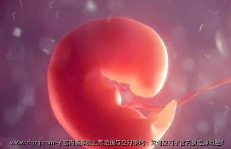 子宫内膜厚度正常范围与应对策略：如何应对子宫内膜过薄问题？