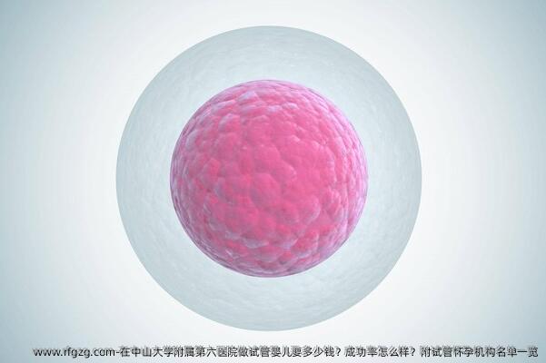 在中山大学附属第六医院做试管婴儿要多少钱？成功率怎么样？附试管怀孕机构名单一览