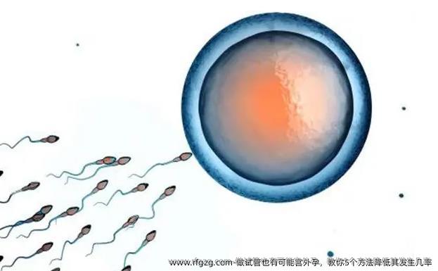 做试管也有可能宫外孕，教你5个方法降低其发生几率