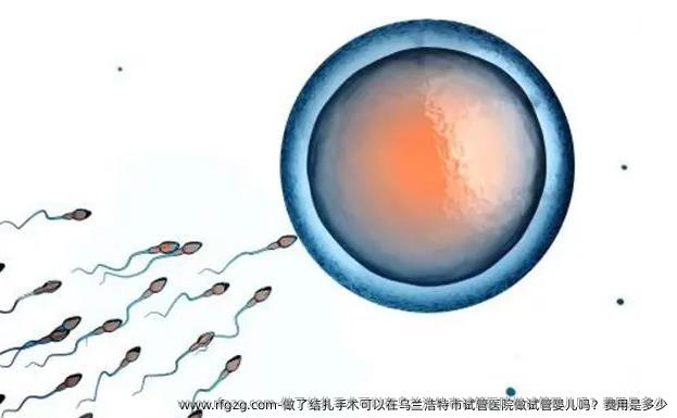 做了结扎手术可以在乌兰浩特市试管医院做试管婴儿吗？费用是多少