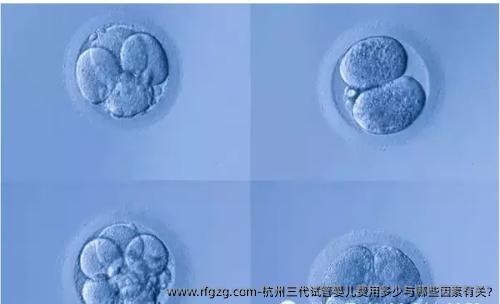 杭州三代试管婴儿费用多少与哪些因素有关?