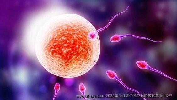 2024年浙江哪个私立医院做试管婴儿好？