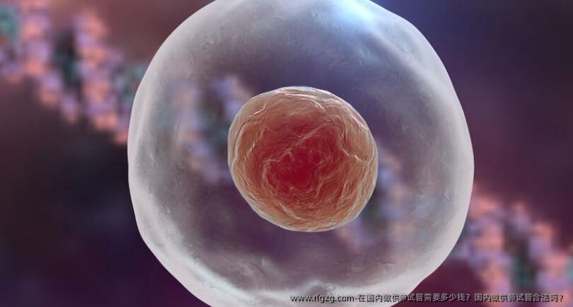 在国内做特需试管需要多少钱？国内做特需试管合法吗？
