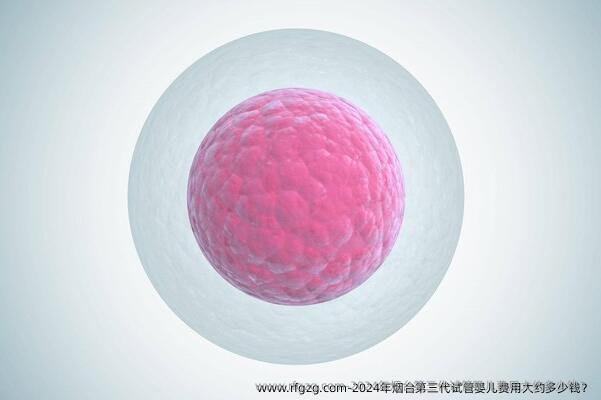 2024年烟台第三代试管婴儿费用大约多少钱？