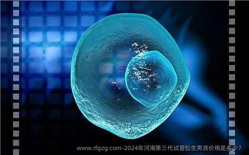 2024年河南第三代试管优生孩子孩价格是多少？