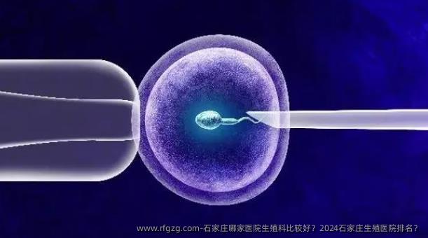 石家庄哪家医院生殖科比较好？2024石家庄生殖医院排名？