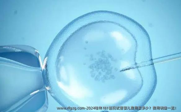 2024桂林181医院试管婴儿费用是多少？费用明细一览！