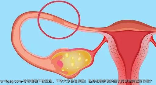 排卵障碍不容忽视，不孕大多是其原因！新郑市哪家医院擅长排卵障碍试管方案？