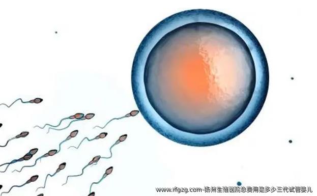 扬州生殖医院总费用是多少三代试管婴儿