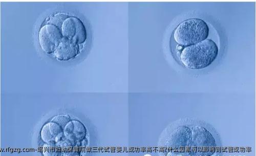 绍兴市妇幼保健院做三代试管婴儿成功率高不高?什么因素可以影响到试管成功率