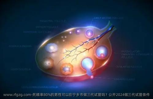 死精率80%的男性可以在宁乡市做三代试管吗？公开2024做三代试管条件