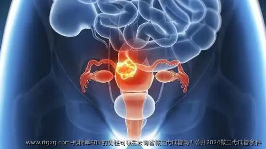 死精率80%的男性可以在云南省做三代试管吗？公开2024做三代试管条件