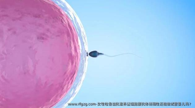 女性检查出抗滋养层细胞膜抗体弱阳性还能做试管婴儿吗？