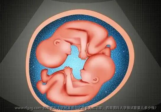 西南医科大学附属医院试管婴儿成功率，西南医科大学做试管婴儿多少钱？