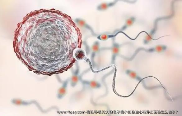 囊胚移植32天检查孕囊小但是胎心胎芽正常是怎么回事？