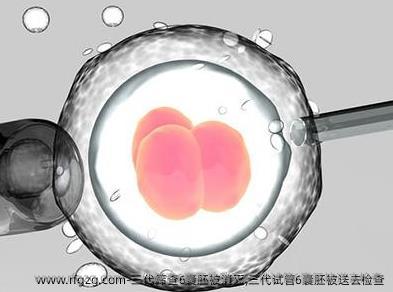 三代筛查6囊胚被消灭,三代试管6囊胚被送去检查