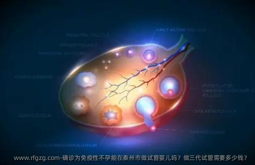 确诊为免疫性不孕能在泰州市做试管婴儿吗？做三代试管需要多少钱？